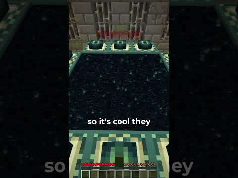 MINECRAFT REMOVED THIS 12 YEAR OLD SCREEN