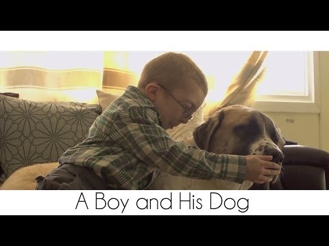 The Award Winning Movie: "A Boy and His Dog".