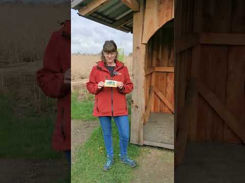 Wie funktioniert die Schnitzeljagd im LandLümmel?