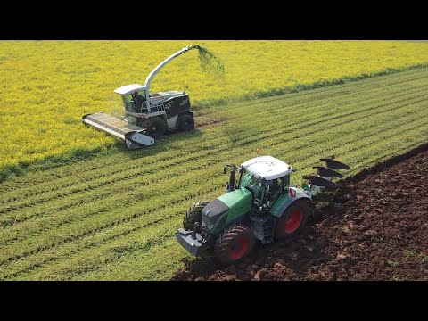 Claas Jaguar 900 | Fendt 933 | Trinciatura brassica e aratura