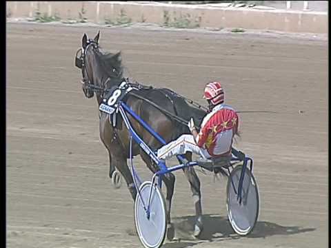 Trotto 26/05/2017 - 4ª corsa