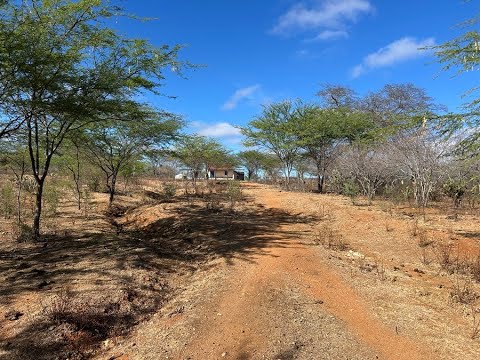 Sítio Zabelêzinho - Zabelê - Paraíba (25/12/25) - Lugar onde fui menino