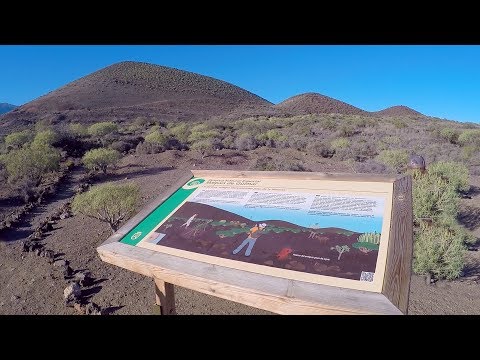 Wandern auf Teneriffa #11