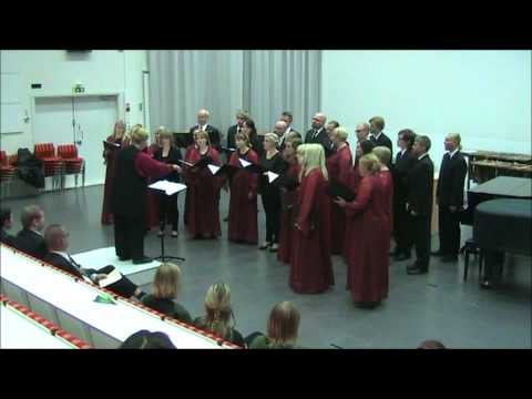 Cantinovum: The Dove, by Pascal Martiné