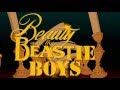 Beauty And The Beastie Boys Music Videos The Axis Of Awesome