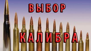 Смотреть онлайн Какой калибр оружия выбрать для охоты