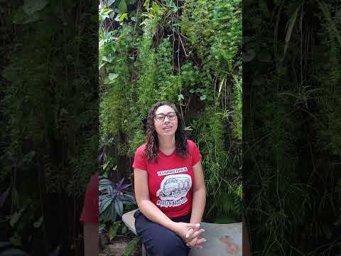 Depoimento em vídeo — Solange