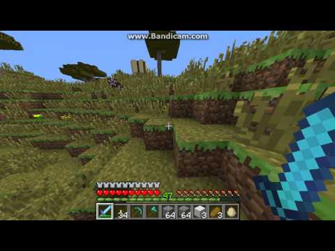 Minecraft single player world