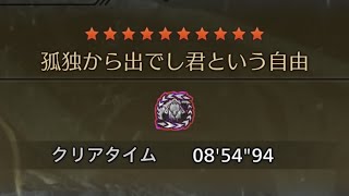 [MHWilds]孤独から出でし君という自由/ガンランスソロ（非火事場） 8'54"94/Arch Tempered Arkveld Gunlance Solo