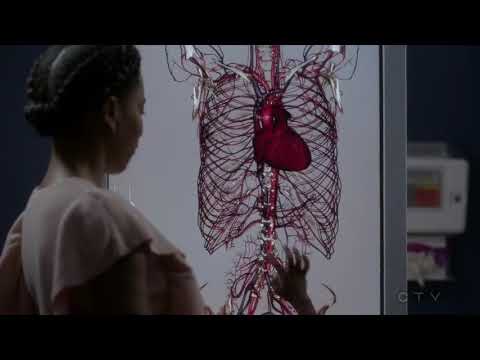 Zola misses her dad- grey’s anatomy 14x07