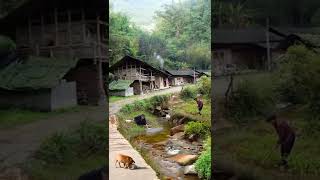 Download lagu Suasana Pedesaan pagi hari 🧘 #shorts #suasanapedesaan #pedesaan #feedshorts mp3