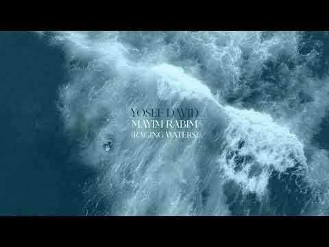 Mayim Rabim Raging Waters - Yosef David