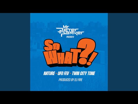 So What?! (feat. Nature, Twin City Tone & Ufo Fev)