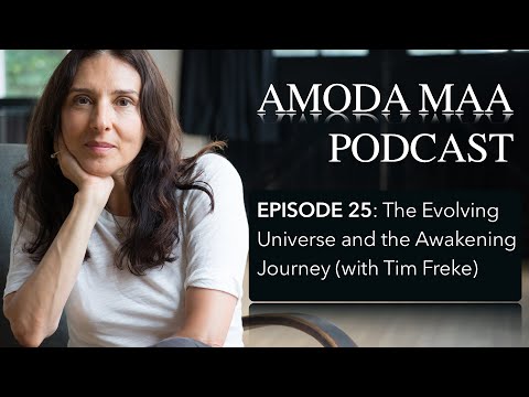 Episode 25: The Evolving Universe and the Awakening Journey (with Tim Freke)