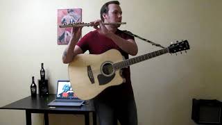 Never Gonna Say I'm Sorry (Ace of Base cover)