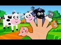 Animals Finger Family And Kids Song For Children | Nursery Rhymes For Babies