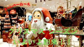 VLOG【アラカン女子のドイツ一人暮らし Japanese woman living alone in Germany】日本への小包／もみの木の枝／クリスマスマーケット