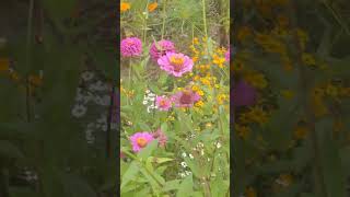 倖田來末・flower