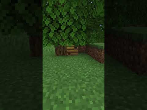 Easy Bee Relocation in Minecraft! You Won't Believe How Fast!