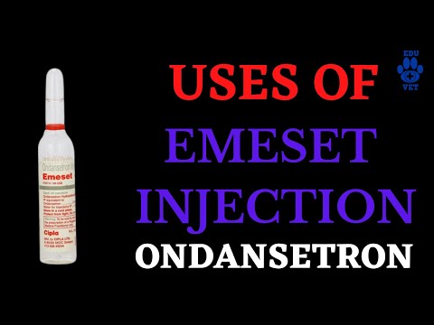 Ondansterone 2 Mg Ml Injection