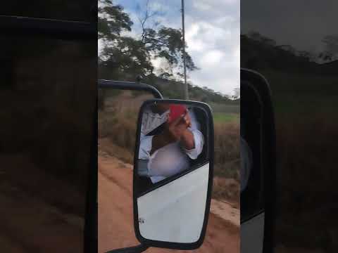 Estrada de terra ,Fernandes Tourinho,MG