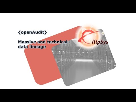 Video Image