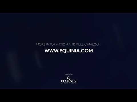 Karamis De Tramarubis Z