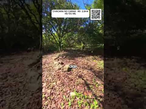 [617]CHÁCARA NO CARAÁ 2,5HA AÇUDE CASA  POMAR ROÇA  FIBRA ÓTICA R$ 155 MIL #chacara #caraa #sitio