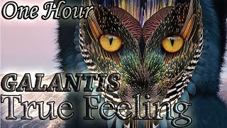 Galantis - True Feeling (One Hour LOOP)