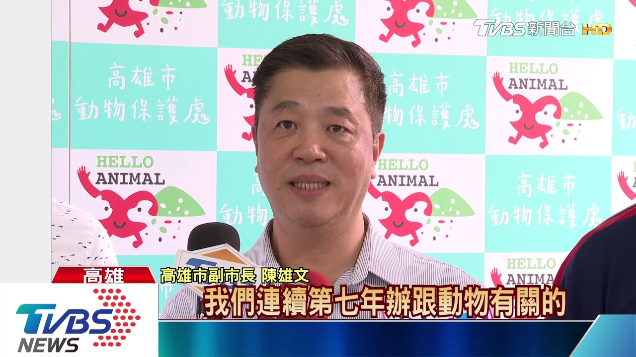 顛覆收容所形象 高雄辦「吹狗螺音樂節」