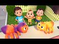 The Itsy Bitsy Spider Newborn Baby Songs Nursery Rhymes