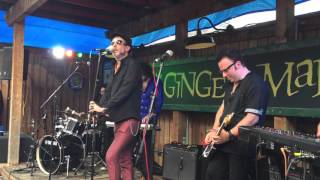 Mercury Rev performing The Flaming Lips&#39; &#39;Love Yer Brain&#39;