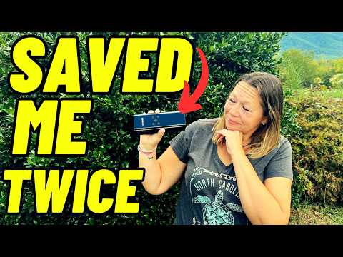 MUST Have Road Trip Essentials That Could SAVE YOU