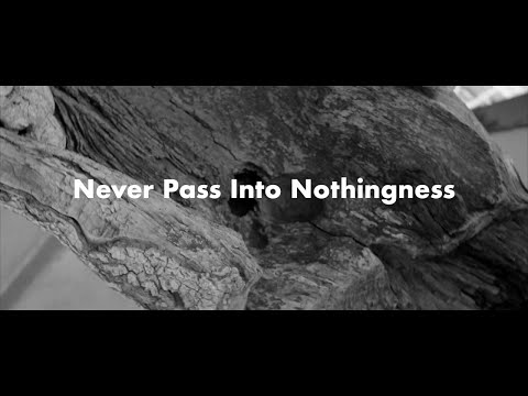 Erland Cooper - Never Pass Into Nothingness