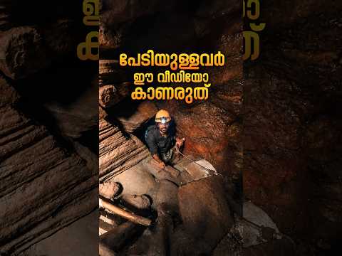 ഇത് കണ്ട് ശ്വാസം മുട്ടിച്ചത്താൽ എന്നെ പറയരുത്..!!😱💀