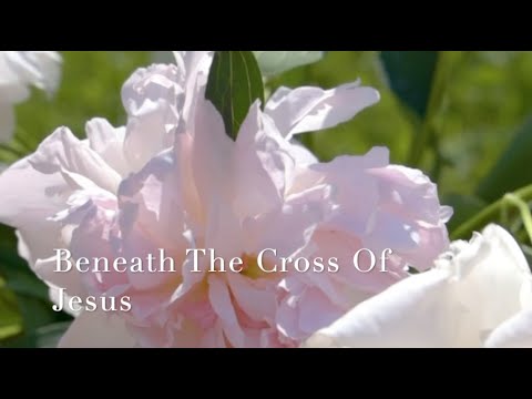 303 SDA Hymn - Beneath The Cross Of Jesus (Singing w/ Lyrics)