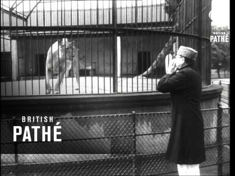 L'imitatore di animali (1954)
