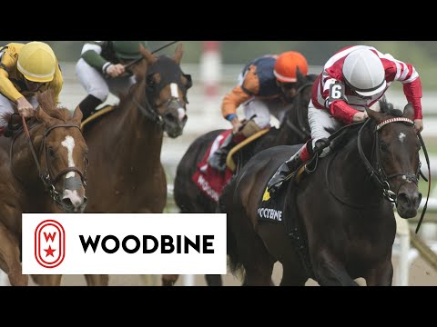 2019 Connaught Cup (Grade II): Woodbine, June 1, 2019 - Race 8