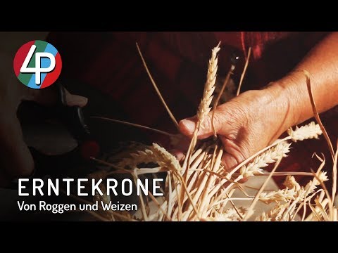 Von Roggen und Weizen bis zur fertigen Erntekrone