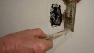 How To Kill Bedbugs In A Wall Opening