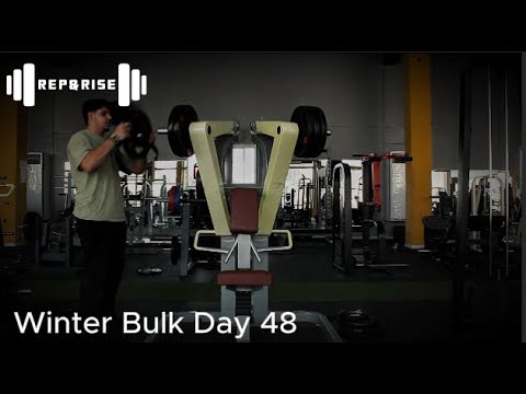 Winter Bulk Day 48 - Pull | Back - Bicep