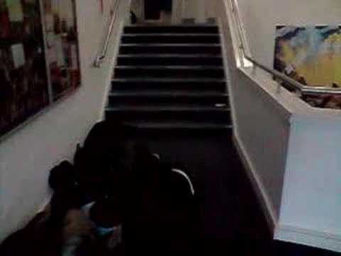 sayf jumps down stairs