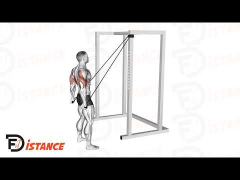 Exercice Pullover aux élastiques