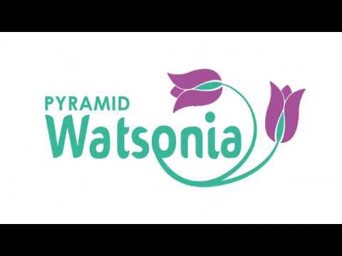 3D Tour Of Pyramid Watsonia