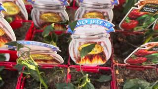 WILL Plants Survive If Left Outside in Freezing Temperatures?
