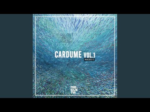 The Girl Who Changed My Set