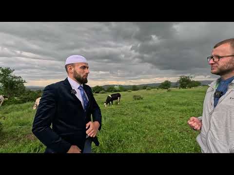 Ferma e lopëve "Vëllezërit Mema" me 80 krerë Lopë në Dubravë të Kaçanikut,  menaxhon hoxhë Nuhi Mema