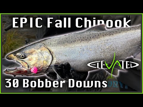 EPIC Fall Chinook Fishing MASSACRE | Centerpin Bobber Downs | 2024 Ep. 04