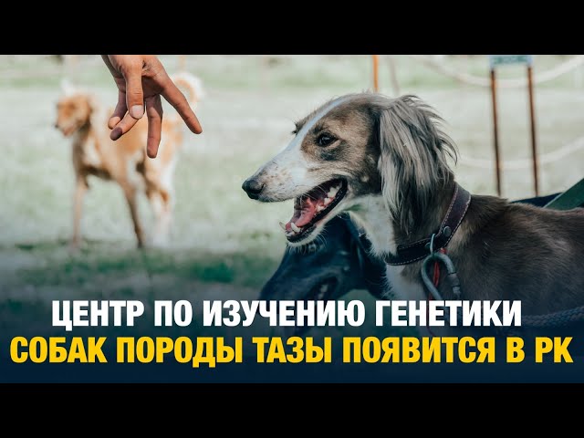 Главные новости 30.05.2024 г.