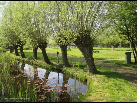 Natuurwandeling in het Streekcentrum Het liesvelt te Groot- Ammers